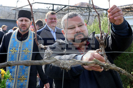 Село Тополи - Трифон Зарезан