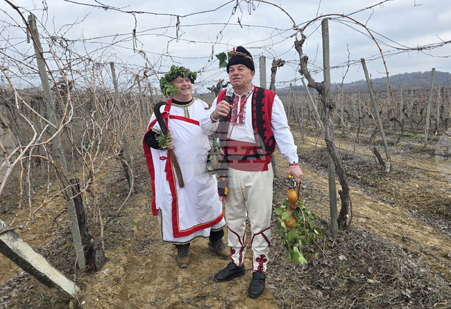 Петрич ще отличи най-доброто домашно червено вино в конкурс за Деня на лозаря