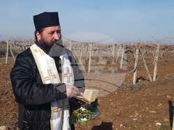 Село Сусам - Трифон Зарезан - отбелязване