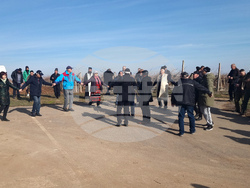 Село Сусам - Трифон Зарезан - отбелязване