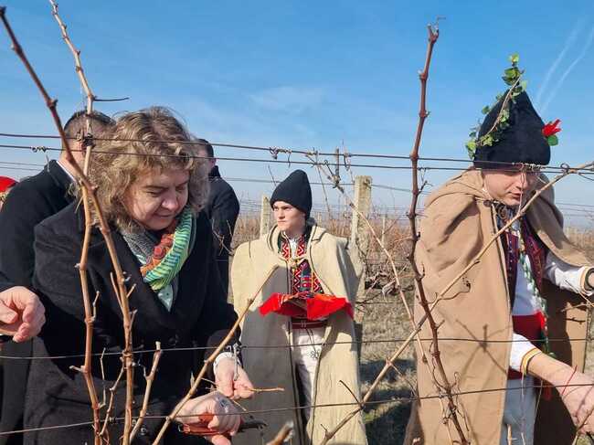 Председателят на Народното събрание Наталия Киселова участва в традиционното зарязване на лозята край Лясковец
