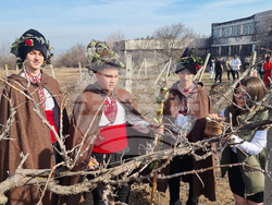 Плевен - Цар на лозята