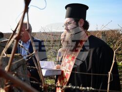 Поморие - Трифон Зарезан - обичай