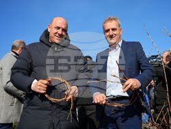 Поморие - Трифон Зарезан - обичай