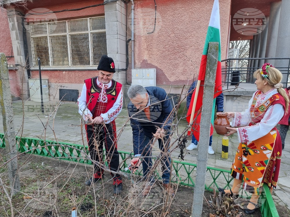 Село Рогош - Трифон Зарезан - празник