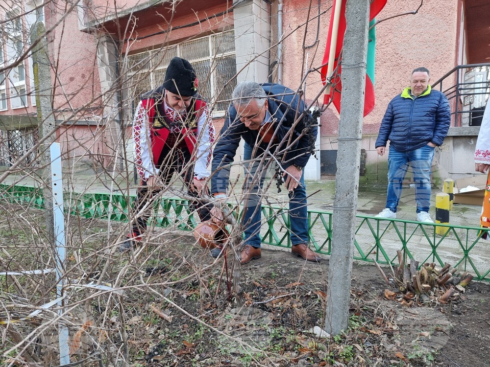 Село Рогош - Трифон Зарезан - празник