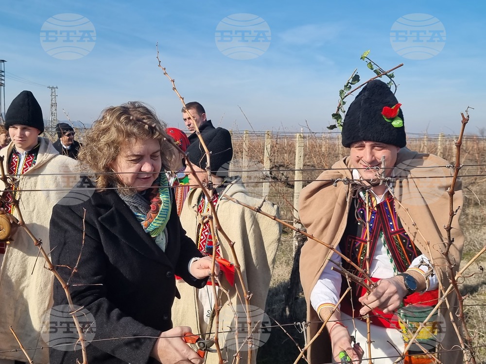 National Assembly Chair Participates in Traditional Vineyard Planting in Lyaskovets