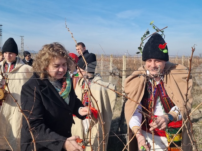 National Assembly Chair Participates in Traditional Vineyard Planting in Lyaskovets