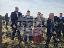 Плевен - Институт по лозарство и винарство - Трифон Зарезан