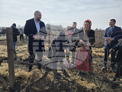 Плевен - Институт по лозарство и винарство - Трифон Зарезан