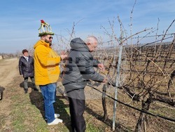 Село Българско Сливово - Трифон Зарезан - Винпром - Свищов