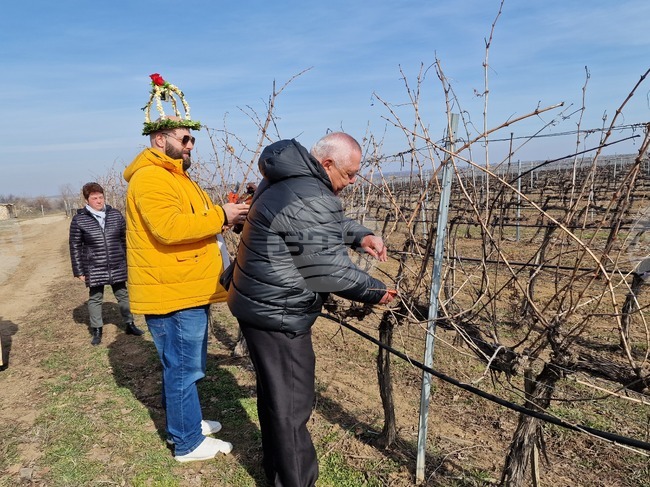 Винпром - Свищов отпразнува Трифон Зарезан с обичай по зарязване на лозята