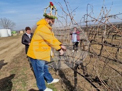 Село Българско Сливово - Трифон Зарезан - Винпром - Свищов