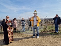 Село Българско Сливово - Трифон Зарезан - Винпром - Свищов