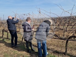 Село Българско Сливово - Трифон Зарезан - Винпром - Свищов