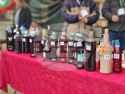 Кюстендил - Трифон Зарезан - конкурс