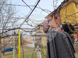 Кюстендил - Трифон Зарезан - конкурс