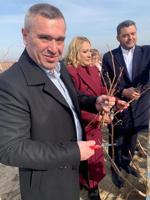Министър Тахов: Лозаро-винарският сектор се подпомага с близо 26 млн. евро годишно