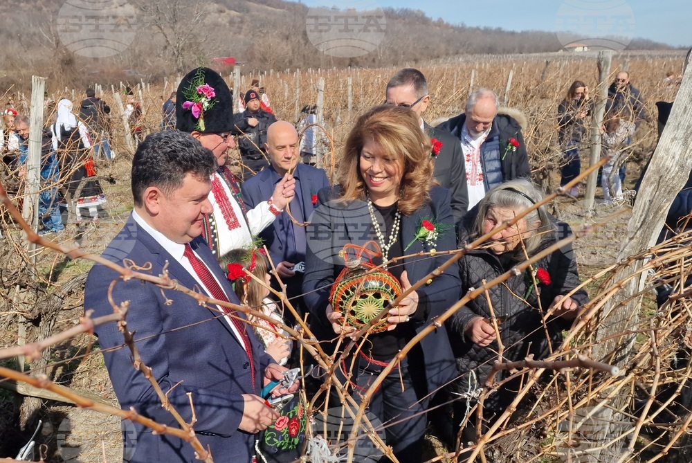 Вицепрезидентът Илияна Йотова за четвърта поредна година участва в ритуала по зарязване на лозята край Сухиндол