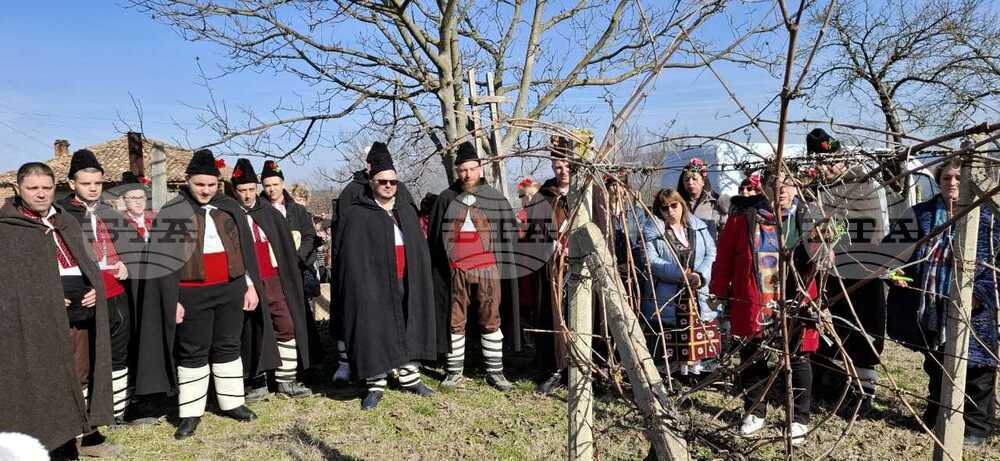Областният управител на Шумен Катя Иванова участва в ритуално зарязване на лозята край Смядово