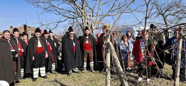 Областният управител на Шумен Катя Иванова участва в ритуално зарязване на лозята край Смядово