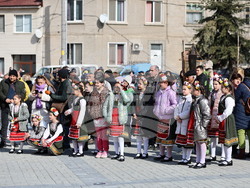 Село Брестовица - Трифон Зарезан