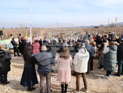 Село Брестовица - Трифон Зарезан