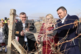 Село Брестовица - Трифон Зарезан