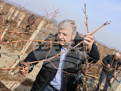 Село Брестовица - Трифон Зарезан - Манол Генов