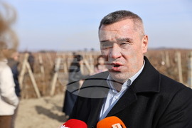Село Брестовица - Трифон Зарезан - Георги Тахов