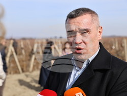 Село Брестовица - Трифон Зарезан - Георги Тахов