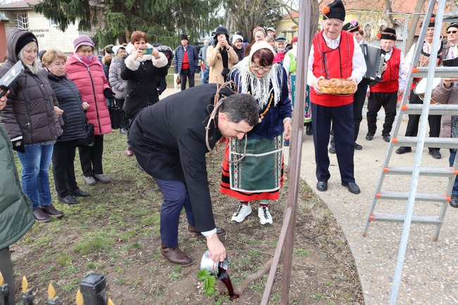 Ритуали по зарязване на лозето се проведоха в община Генерал Тошево