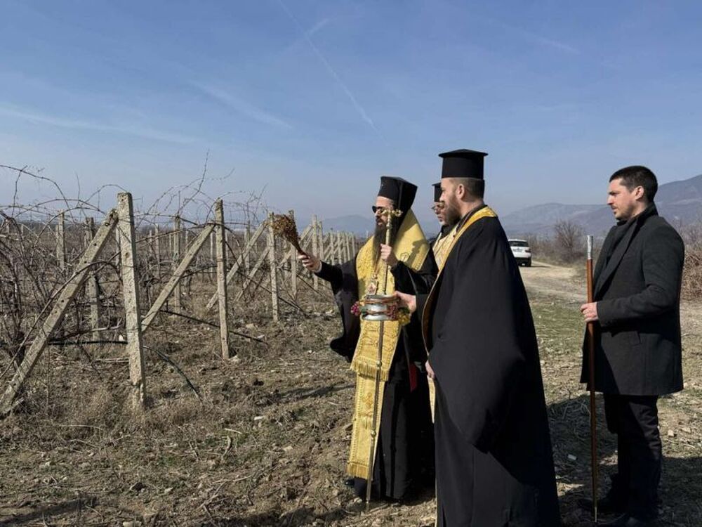 Митрополит Арсений благослови лозята в сливенското село Глушник