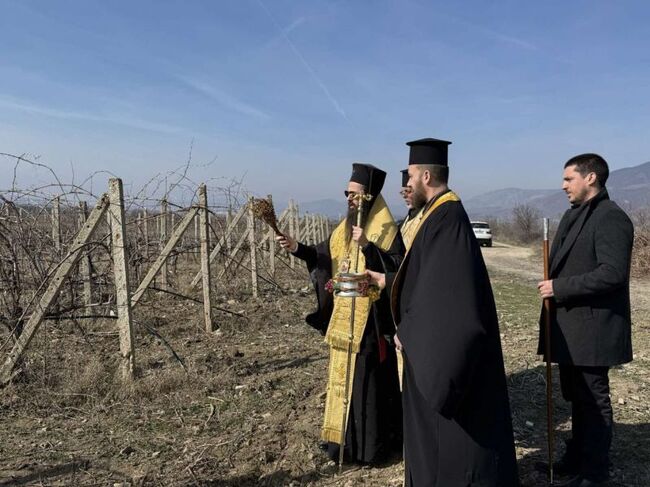Митрополит Арсений благослови лозята в сливенското село Глушник