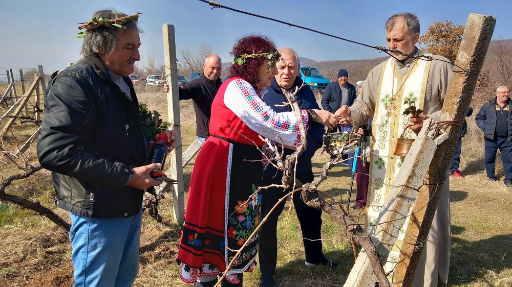Община Стара Загора: В с. Оряховица днес отпразнуваха виното, радостта от живота и Трифон Зарезан