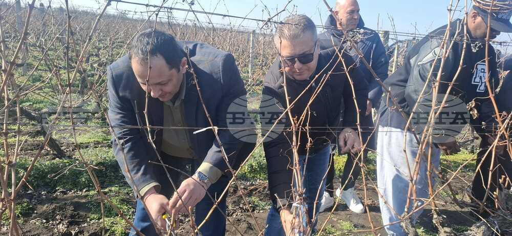 Заместник-министър Капитанов: Поморие се утвърди като един от най-емблематичните райони за българското лозарство и винопроизводство