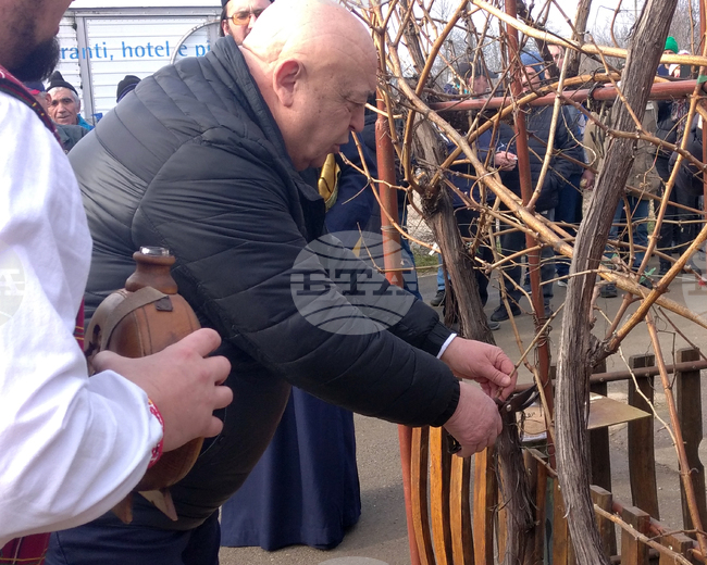 Със зарязване на лозе, фолклорна програма и конкурс за най-добро домашно вино отбелязаха Трифон Зарезан в Лом