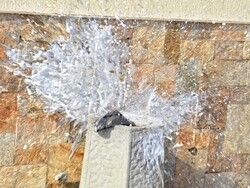 Снимка: Община Асеновград