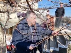 Село Лозево - Трифон Зарезан