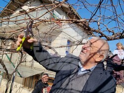 Село Лозево - Трифон Зарезан