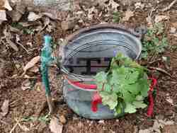 Снимка: Община Стара Загора