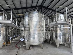 Село Рабиша - вино - Трифон Зарезан - пещера Магура - зарязване