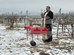 Село Рабиша - вино - Трифон Зарезан - пещера Магура - зарязване