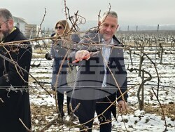 Село Рабиша - вино - Трифон Зарезан - пещера Магура - зарязване