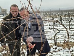 Село Рабиша - вино - Трифон Зарезан - пещера Магура - зарязване