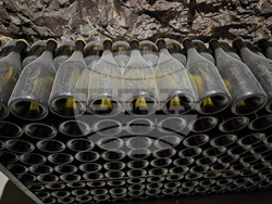 Село Рабиша - вино - Трифон Зарезан - пещера Магура - зарязване