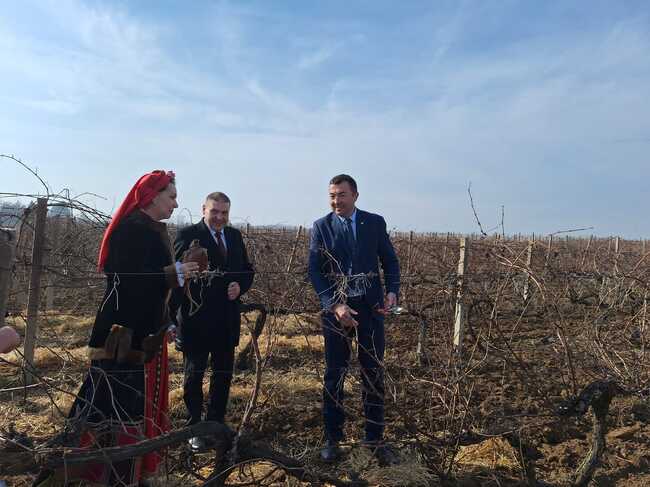 Заместник-министър Янчев: Научната дейност на Института по лозарство и винарство в Плевен допринася за развитието на сектора