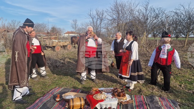 В исперихското село Конево зарязаха лозите за плодородие по автентичен обичай