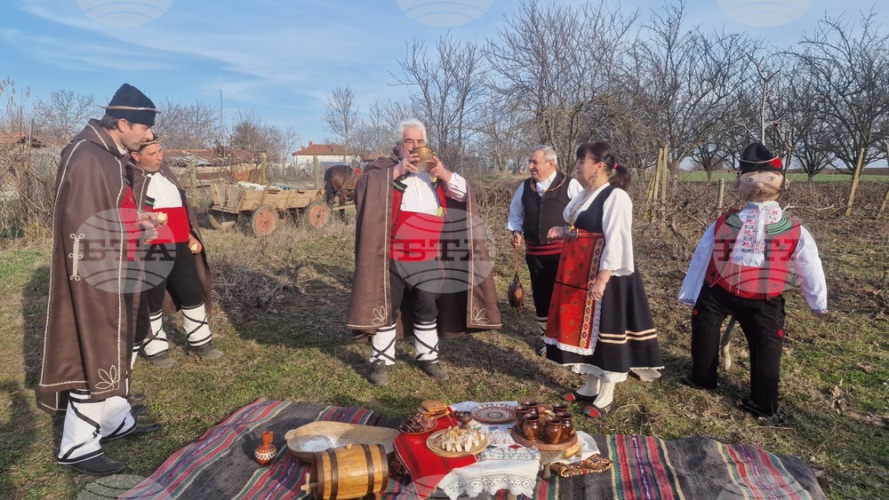 Село Конево - Трифон Зарезан - ритуал