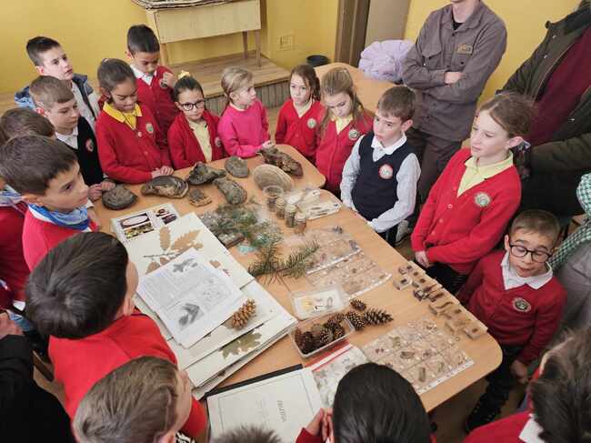 С грижа за бъдещето: Децата на Банско учат за горите